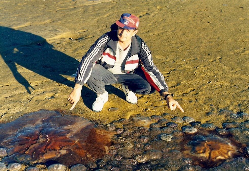 Bacha na barevný žahavý medůzy