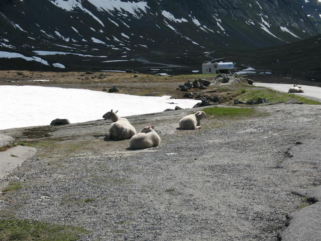 Norsko 2008 - Cesta K Trolí Stezce