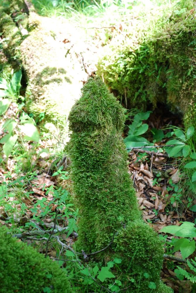 Slovinsko+chorvatsko 2010