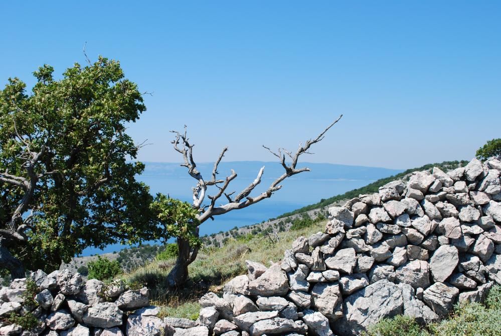 Slovinsko+chorvatsko 2010