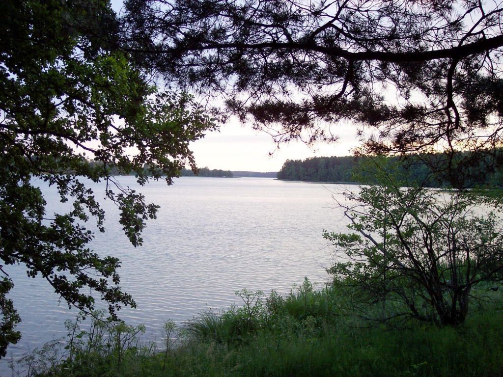 Kópia – 110612 075