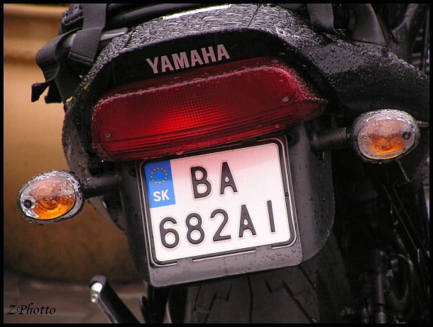 sraz s mezinárodní účastí