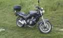 XJ 600 S 1997